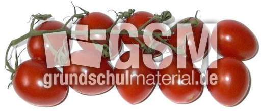 Tomaten1x10.jpg